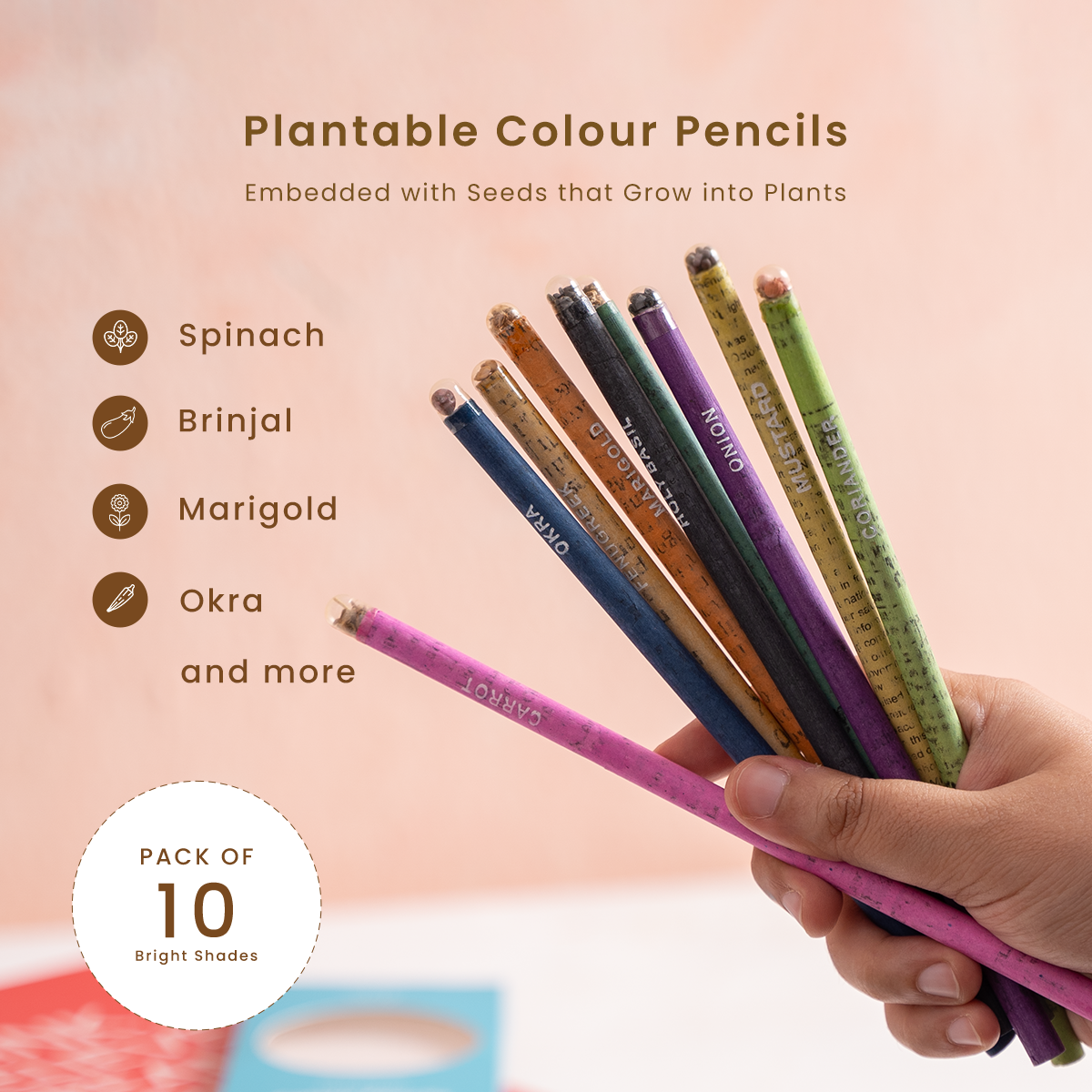 Plantable Colour Pencils | Pack of 10 | Seed Pencils