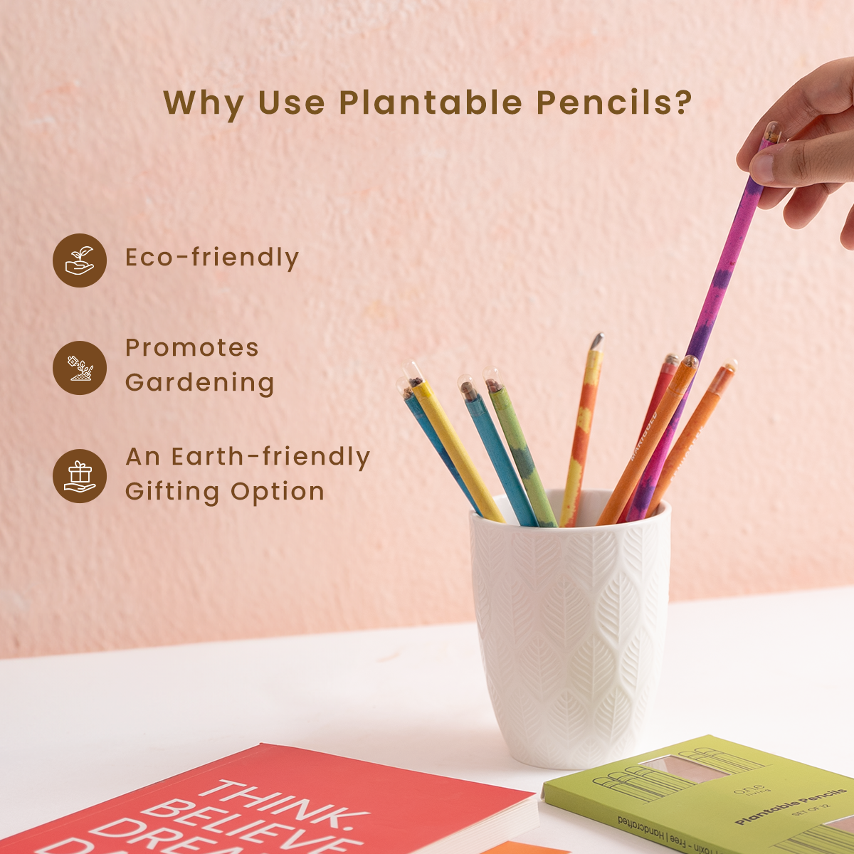 Plantable Pencils | Pack of 12 | Embedded with Seeds