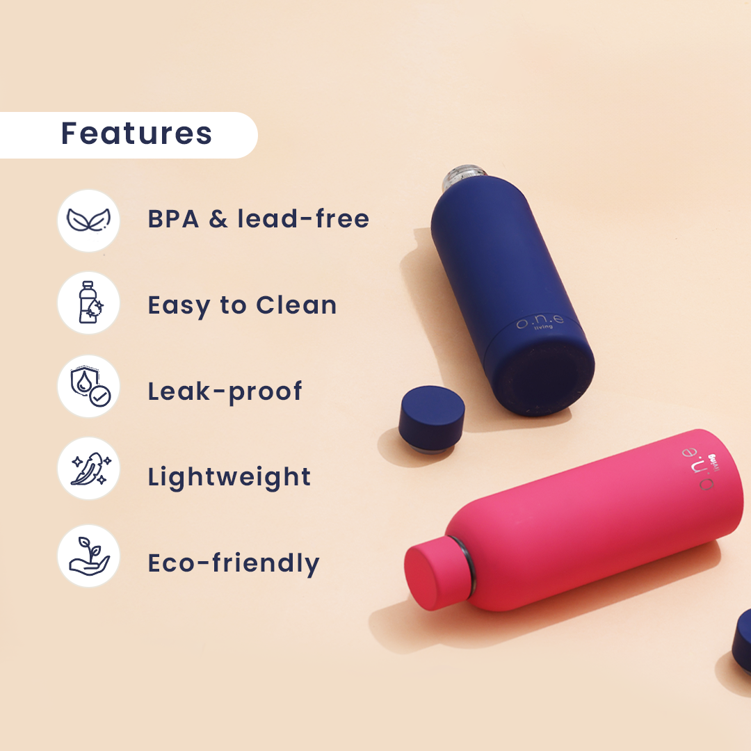 Insulated Stainless Steel Bottles | Set of 2 | 500 ml | Blue & Dark Pink | BPA Free