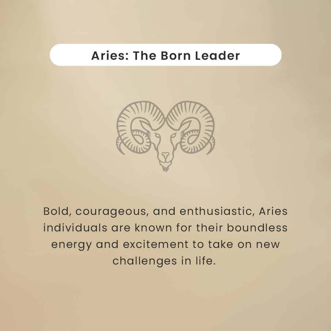 Zodiac Sign Stainless Steel Bottle | 1 Litre | Aries
