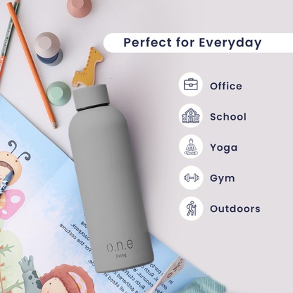 Insulated Stainless Steel Bottle | 500 ml | Grey