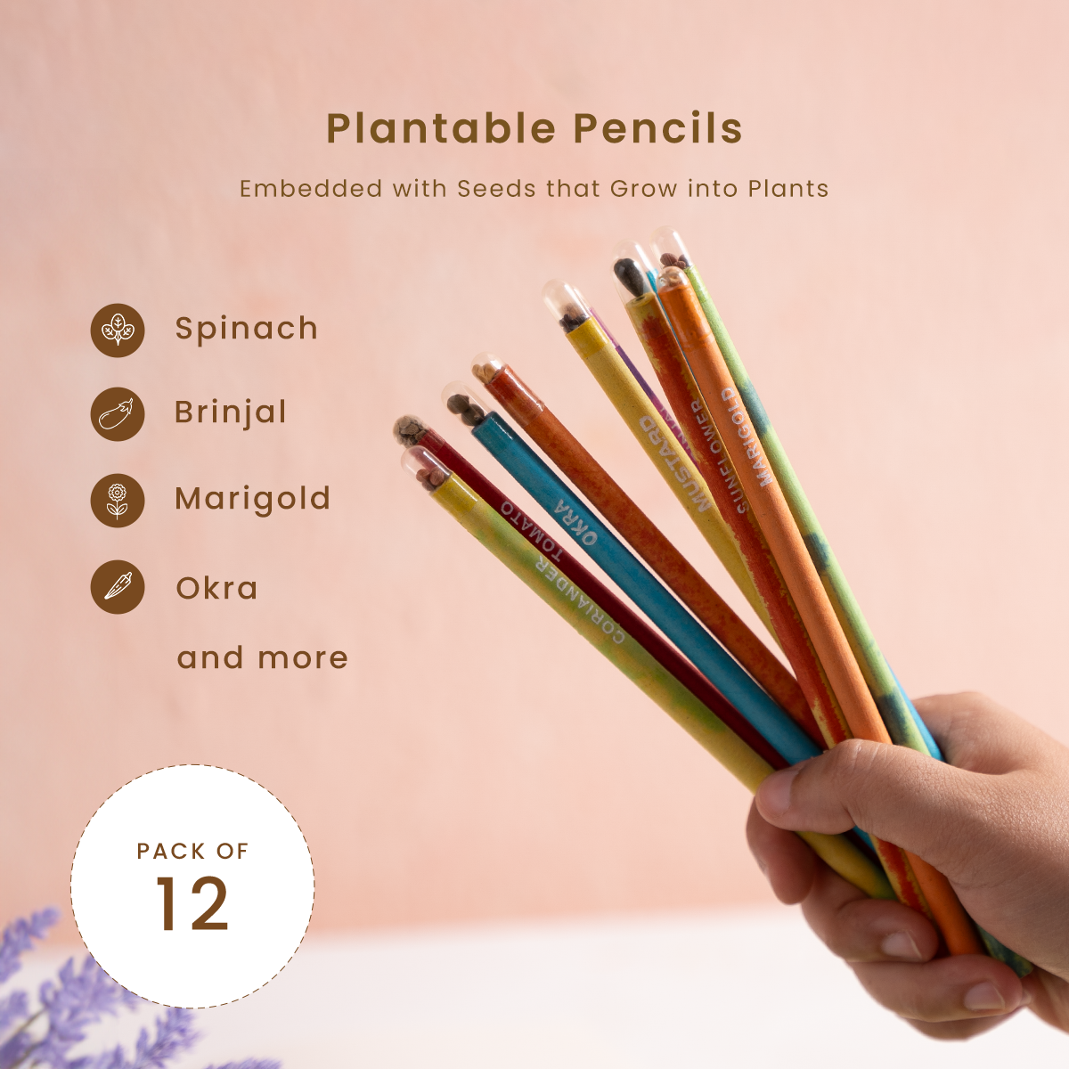 Plantable Pencils | Pack of 12 | Embedded with Seeds