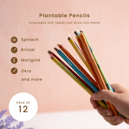 Plantable Pencils | Pack of 12 | Embedded with Seeds