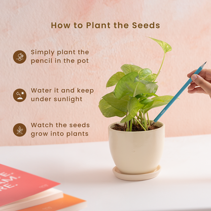 Plantable Pencils | Pack of 12 | Embedded with Seeds
