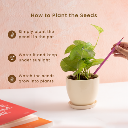 Plantable Colour Pencils | Pack of 10 | Seed Pencils