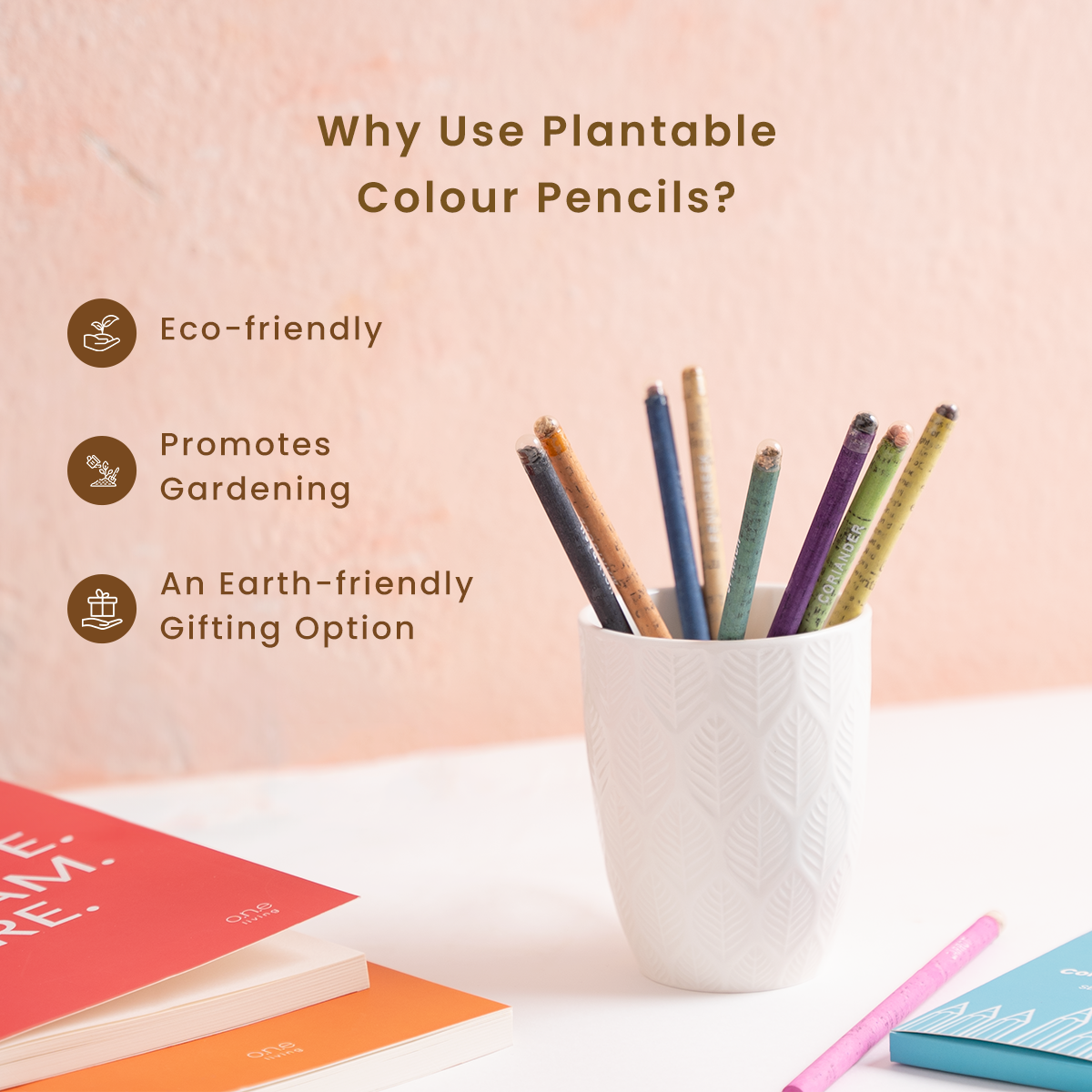 Plantable Colour Pencils | Pack of 10 | Seed Pencils