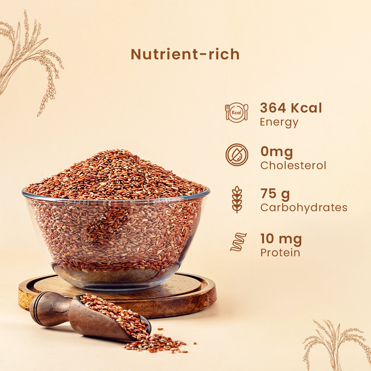 Red Rice |Unpolished | 1 Kg | Improves Metabolism | Pack of 2
